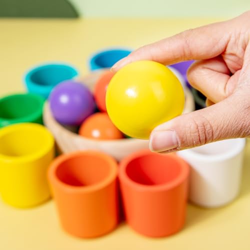 Auvewilo Bolas de Tazas de Juguete Montessori, Clasificación de Color y Forma para la Educación de los Niños, Ejercicio de Motricidad Fina