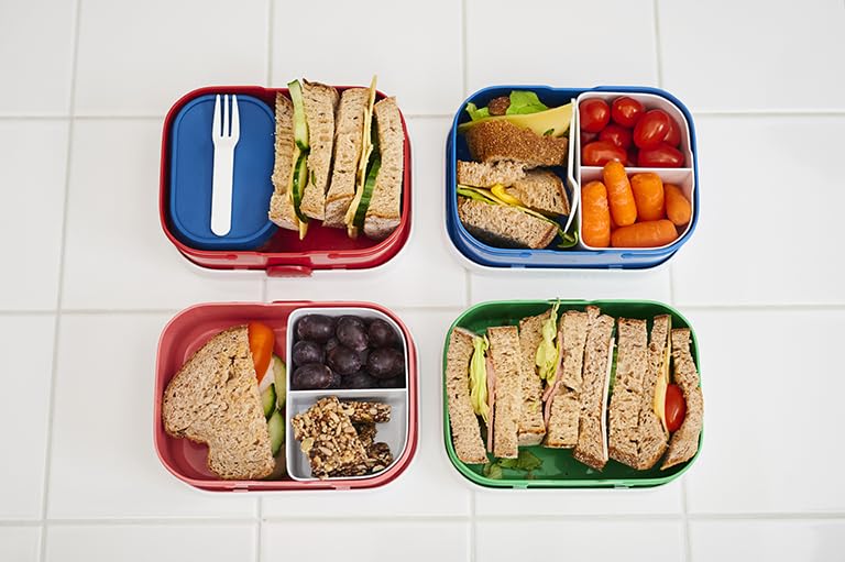 Mepal - Lunch Box Campus Little Dutch - Bento Lunch Box For Children - Lunch Box With Bento Compartment & Fork - Lunch Box With Clip Closure - BPA-free & Dishwasher Safe - 750 ml - Sailors Bay,