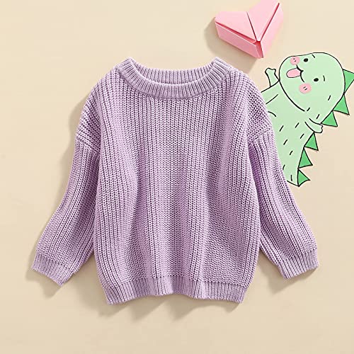 KILUS Newborn Infant Boys Girls Knitted Oversized Sweater 3 6 9 Months Long Sleeve Solid Color Crewneck Pullover Top Sweatshirt Fall Clothes (A Purple,2-3T)