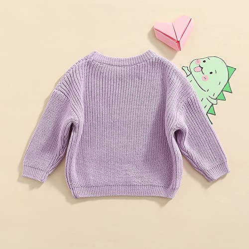 KILUS Newborn Infant Boys Girls Knitted Oversized Sweater 3 6 9 Months Long Sleeve Solid Color Crewneck Pullover Top Sweatshirt Fall Clothes (A Purple,2-3T)