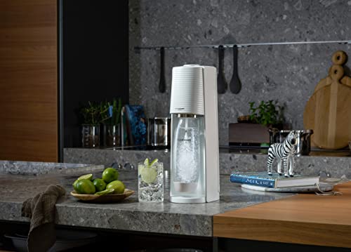 SodaStream Terra 1012813490 - Gorgogliatore d'acqua con cilindro di CO2, 2  bottiglie di plastica lavabili in lavastoviglie da 1 l e 1 bottiglia in  plastica lavabile in lavastoviglie, altezza 44 cm, : : Casa e  cucina